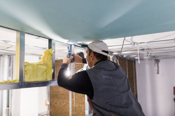 Best Spray Foam Insulation  in Marcellus, MI
